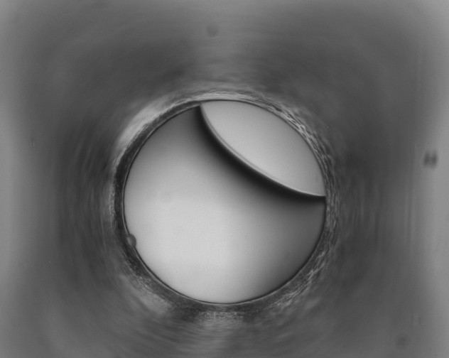 X0000090920296200707301059