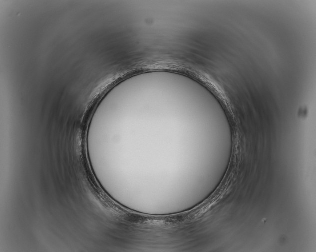X0000090920298200707301059