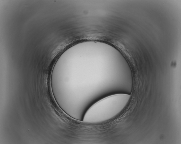 X0000090920299200707301059