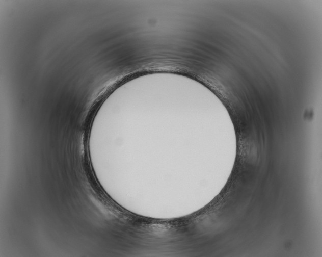 X0000090920302200707301059
