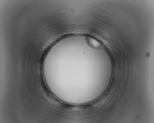 X0000090920303200707301059