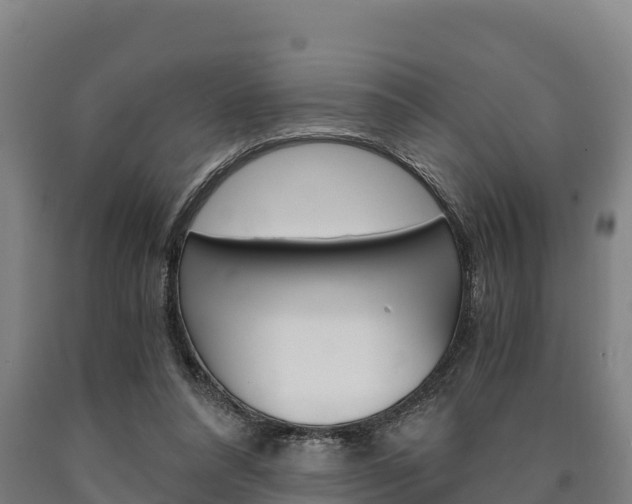 X0000090920304200707301059