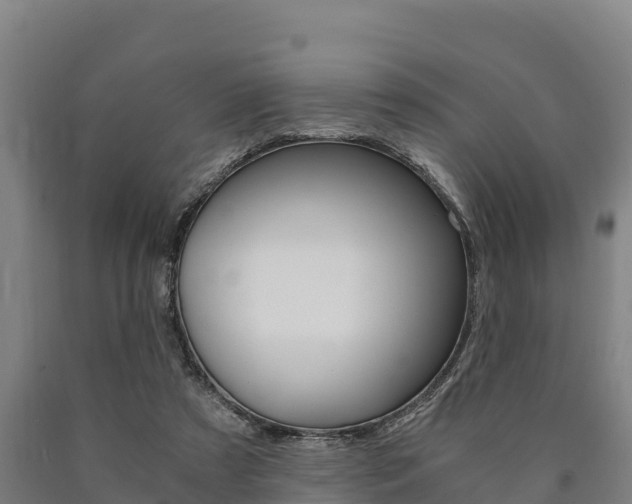 X0000090920305200707301059