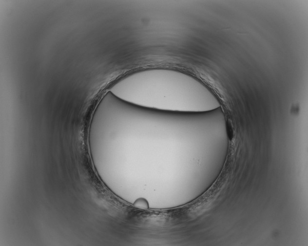 X0000090920306200707301059