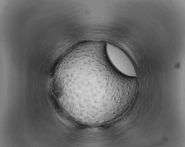 X0000090920307200707301059