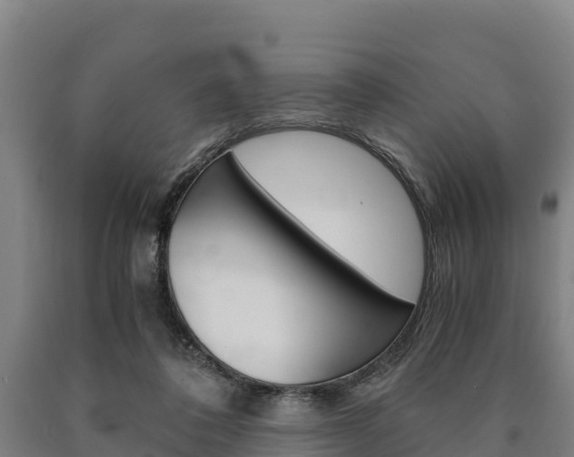 X0000090920308200707301059