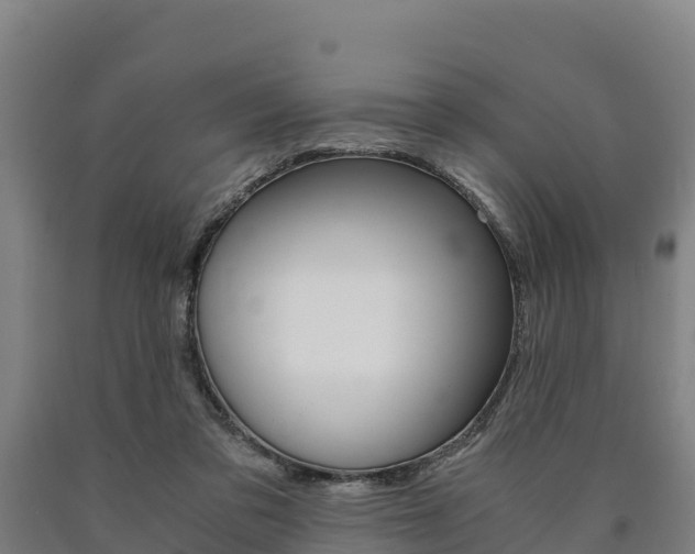 X0000090920309200707301059