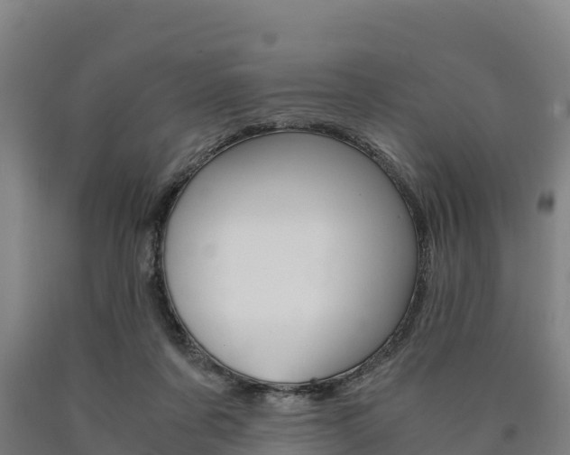 X0000090920311200707301059