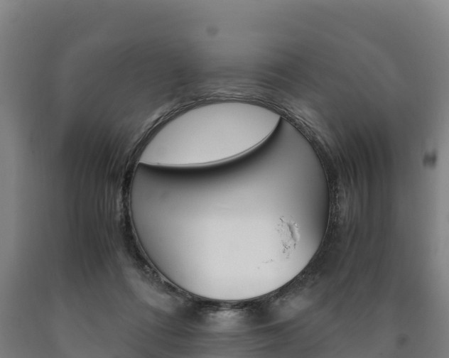 X0000090920312200707301059