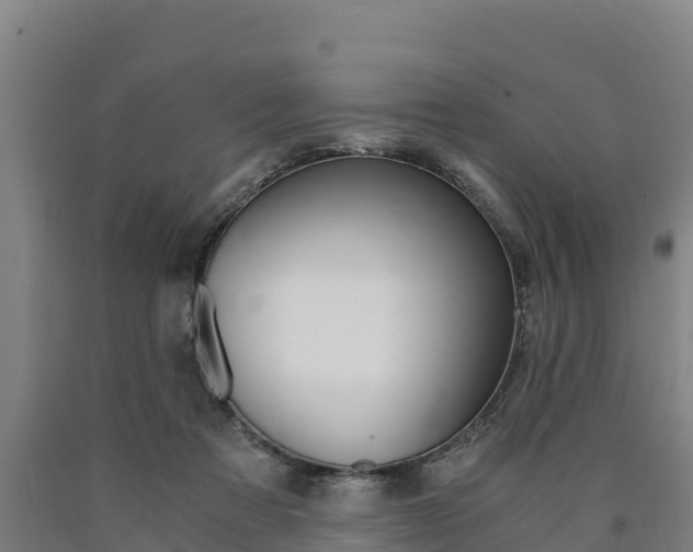 X0000090920313200707301059