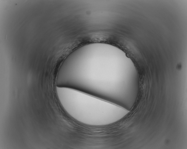 X0000090920315200707301059