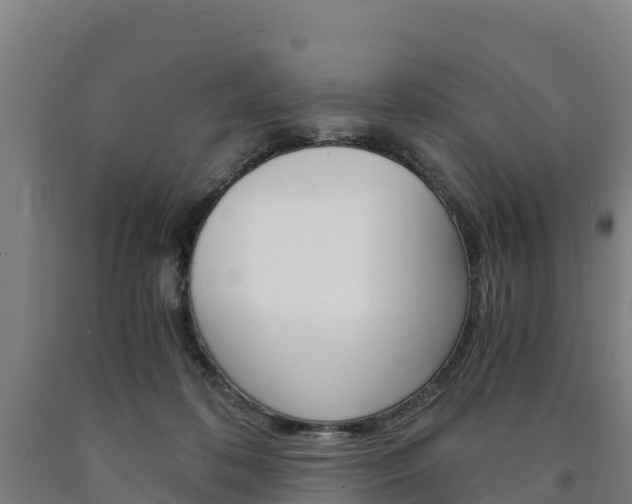 X0000090920316200707301059