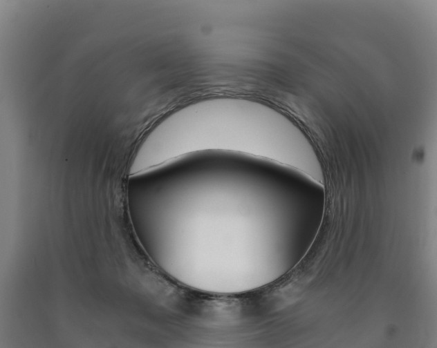 X0000090920317200707301059
