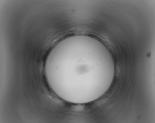 X0000090920318200707301059