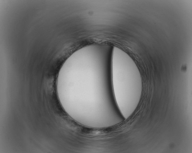 X0000090920319200707301059