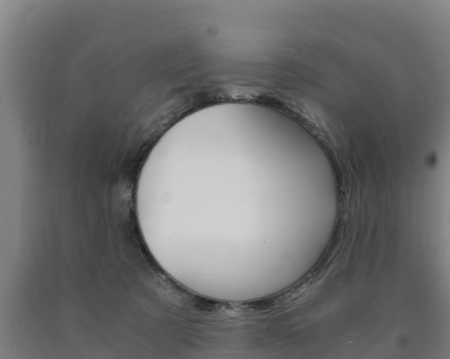 X0000090920321200707301059