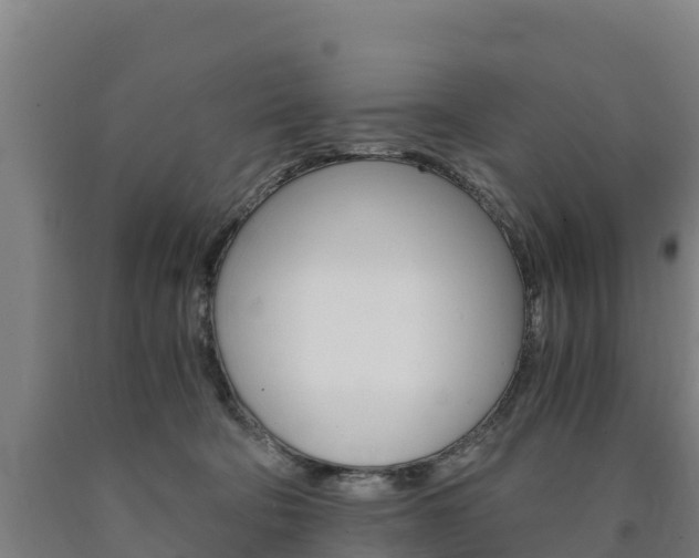 X0000090920322200707301059
