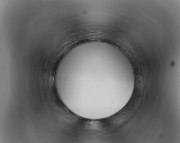 X0000090920324200707301059