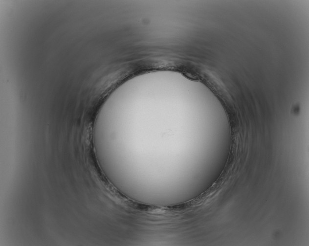 X0000090920325200707301059