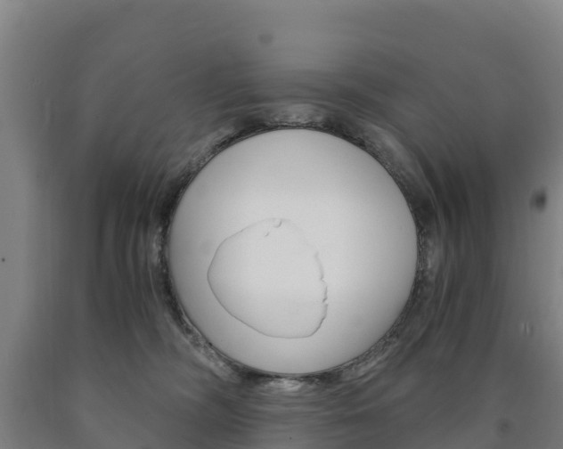 X0000090920326200707301059