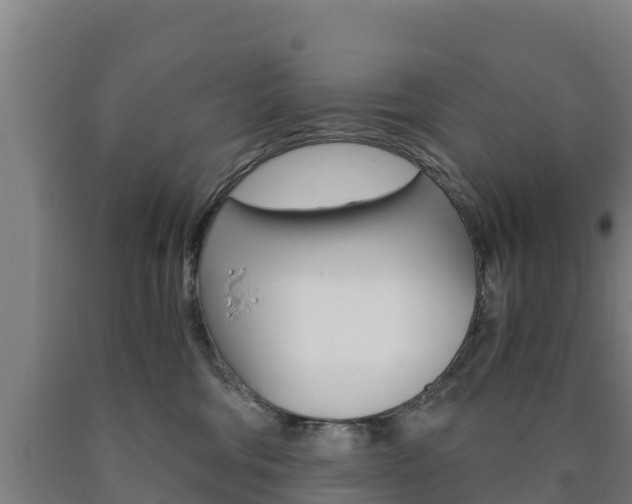 X0000090920330200707301059