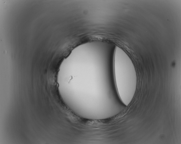 X0000090920331200707301059
