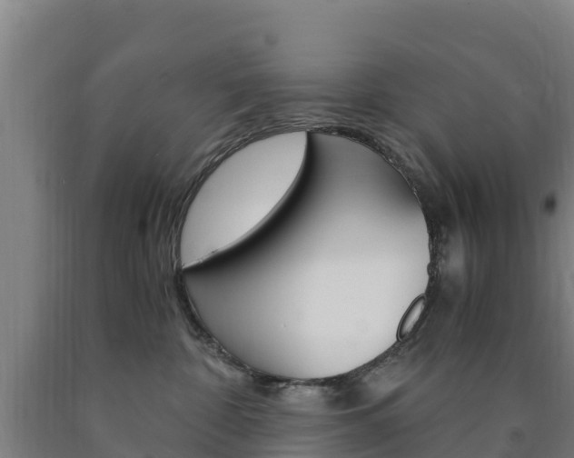 X0000090920332200707301059
