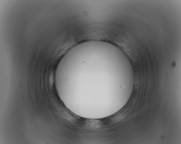 X0000090920334200707301059