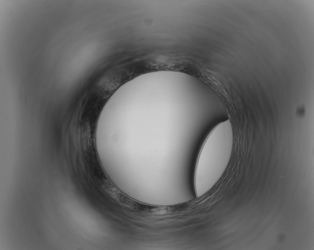 X0000090920335200707301059