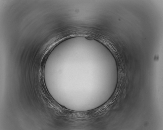 X0000090920338200707301058