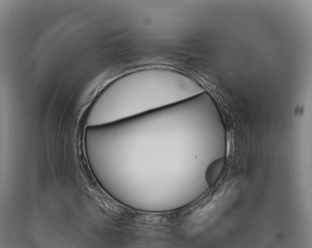 X0000090920339200707301058