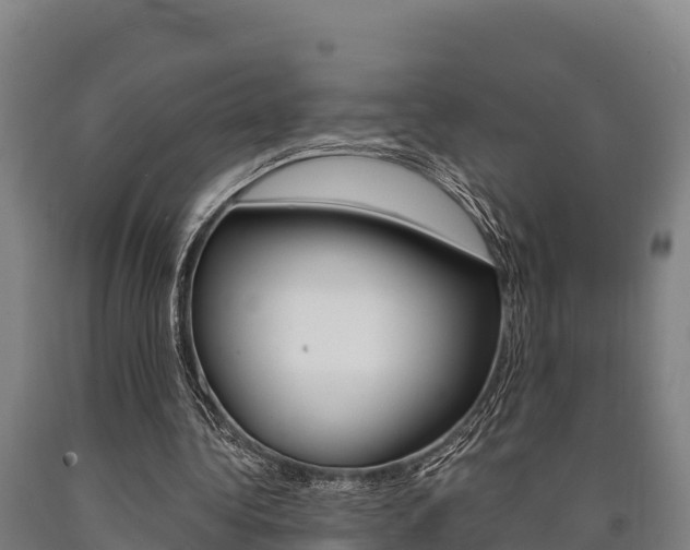 X0000090920340200707301058