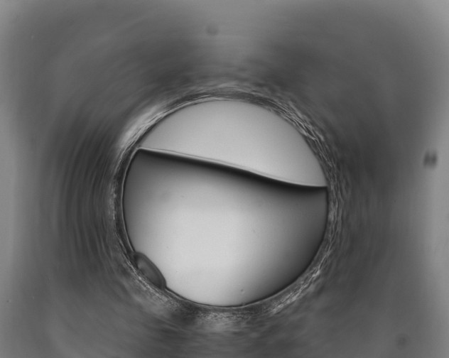 X0000090920341200707301058