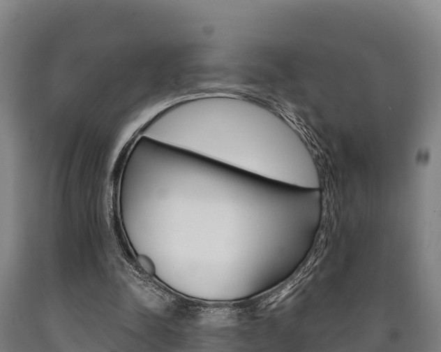 X0000090920342200707301058
