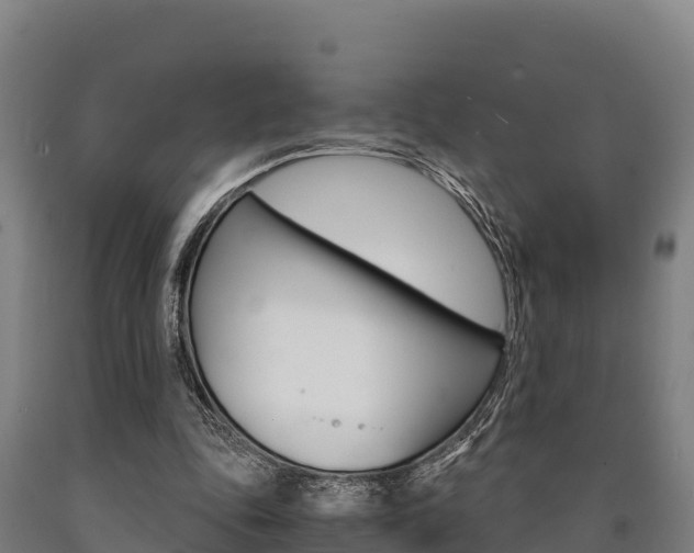 X0000090920343200707301058