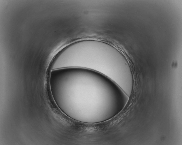 X0000090920344200707301058