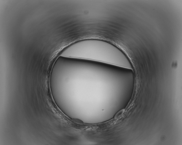 X0000090920345200707301058