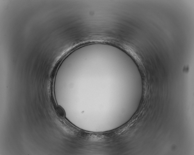 X0000090920346200707301058