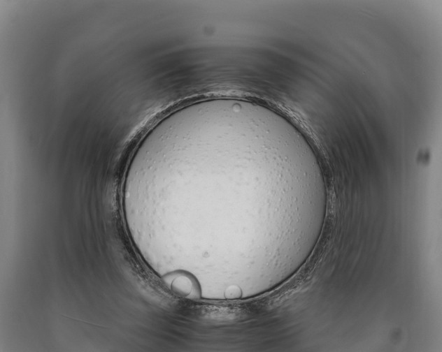 X0000090920347200707301058