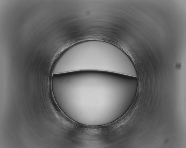 X0000090920349200707301058
