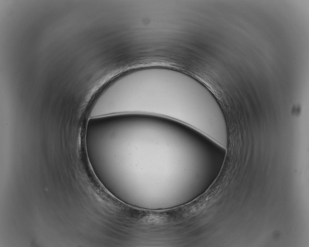 X0000090920350200707301058