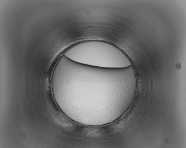 X0000090920351200707301058