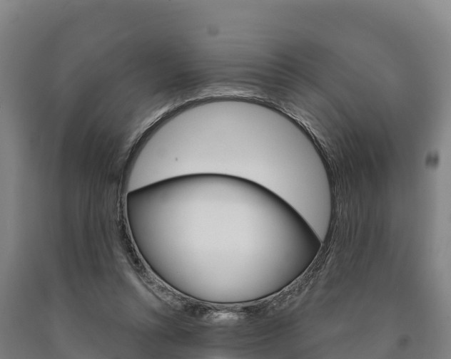 X0000090920352200707301058