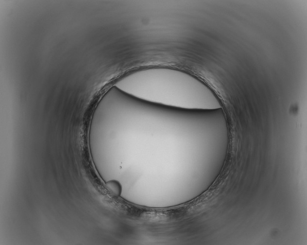 X0000090920354200707301058