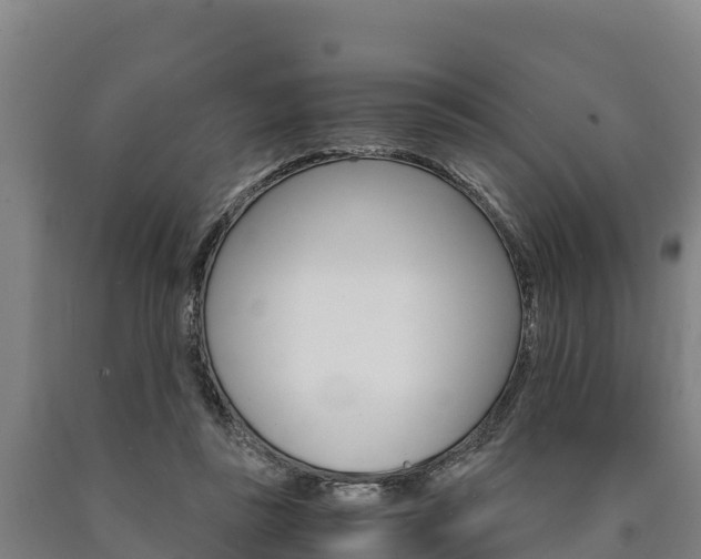 X0000090920355200707301058