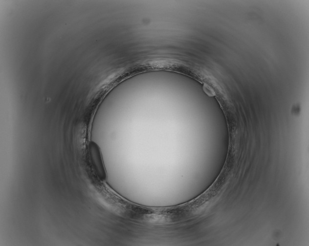X0000090920356200707301058