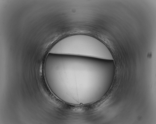 X0000090920358200707301058