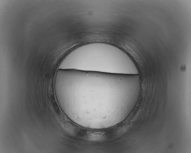 X0000090920359200707301059