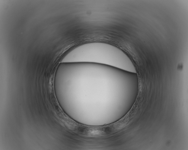X0000090920360200707301059