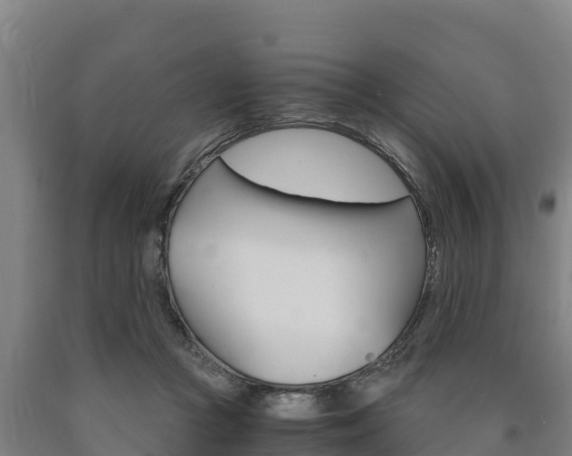 X0000090920361200707301059